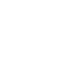 CPA-ready reports icon